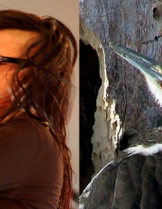 Skrillex: A Woodpecker That Makes Your Parents Furrow Their Brow


