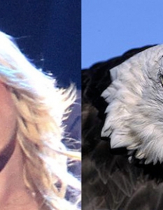 Britney Spears: An All-American Eagle