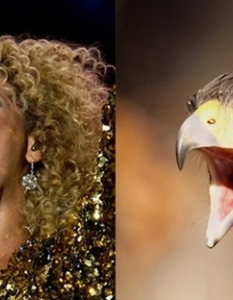 Beyoncé: A Fierce Falcon