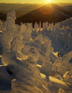 Fernie, Британска Колумбия, Канада