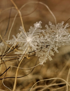 Чудесата на природата: Снежинките отблизо - 1