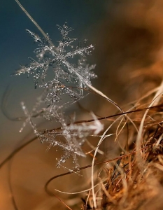 Чудесата на природата: Снежинките отблизо - 2