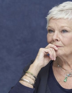 Джуди Денч (Judi Dench)Джуди Денч (Judi Dench), която гледахме в ролята на М в последните няколко Бонд филма, включително супер успешния Skyfall, е актриса, която няма нужда от представяне. Отличена с "Оскар" за ролята си в Shakespeare in Love и неколкократно номинирана от Академията за изпълненията си в Chocolat, Mrs Henderson Presents и Notes on a Scandal. Кариерата й обаче започва на театралната сцена. Тя се налага като едно най-значимите имена в британския театър, носител е на седем награди Laurence Olivier и е била част както от Кралската Шекспирова компания (Royal Shakespeare Company), така и от трупата на National Theatre. 