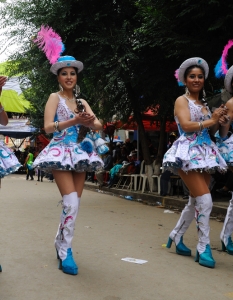 Карнавал на костюмите в Боливия, февруари 2013 г. - 9