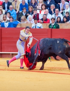 Испанска корида: Novilladas in Plaza de Toros de Sevilla, май 2012 г. - 9