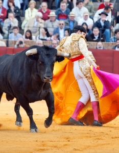 Испанска корида: Novilladas in Plaza de Toros de Sevilla, май 2012 г. - 10