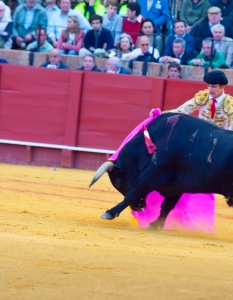 Испанска корида: Novilladas in Plaza de Toros de Sevilla, май 2012 г. - 12