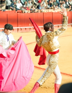 Испанска корида: Novilladas in Plaza de Toros de Sevilla, май 2012 г. - 14