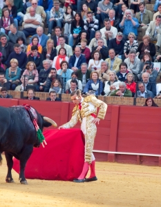 Испанска корида: Novilladas in Plaza de Toros de Sevilla, май 2012 г. - 1