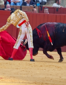 Испанска корида: Novilladas in Plaza de Toros de Sevilla, май 2012 г. - 5