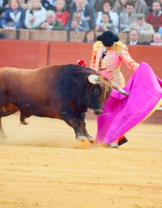 Испанска корида: Novilladas in Plaza de Toros de Sevilla, май 2012 г. - 8