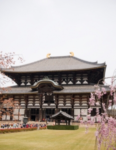 Sakura: Вижте уникални снимки от Япония през пролетта - 17