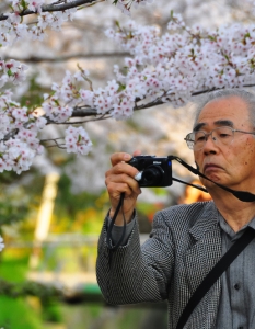 Sakura: Вижте уникални снимки от Япония през пролетта - 5
