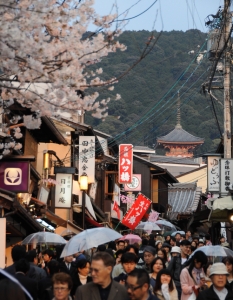Sakura: Вижте уникални снимки от Япония през пролетта - 8