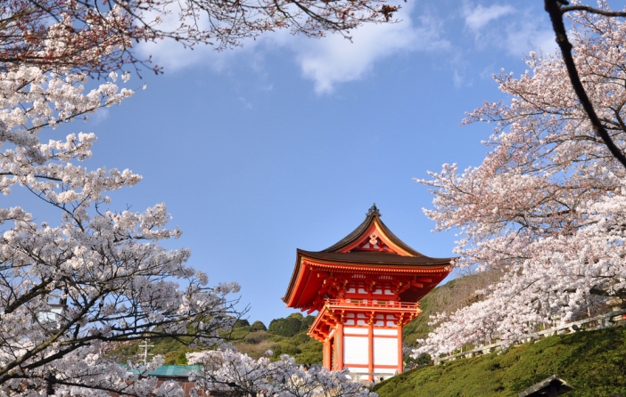 Sakura: Вижте уникални снимки от Япония през пролетта