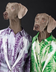 Кучетата на Уилям Уегман в рекламна фотосесия на ACNE - колекция пролет-лято 2013 - 1