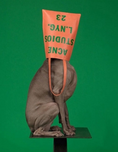 Кучетата на Уилям Уегман в рекламна фотосесия на ACNE - колекция пролет-лято 2013 - 4