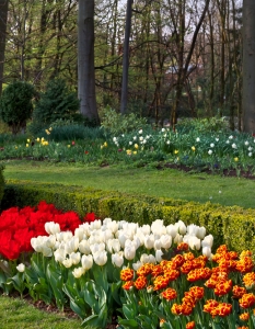 Цветните градини на Холандия - 9