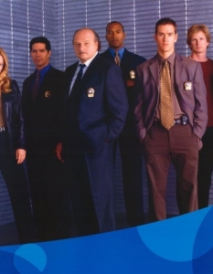 NYPD BlueNYPD Blue (Полицейско управление Ню Йорк) е сериал на ABC, който се излъчва в продължение на 12 сезона, а нейни създатели са Стивън Бочко (Steven Bochco) и Дейвид Милч (David Milch). 