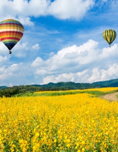 Up! 25 повдигащи настроението фотографии на балони с горещ въздух - 13