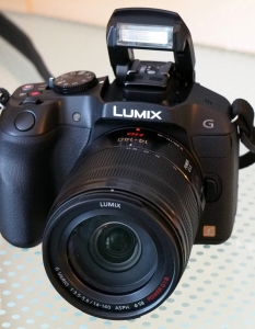 Panasonic Lumix G6 - 2