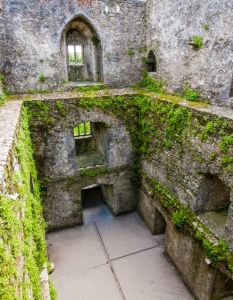 Замъците на Ирландия - 19