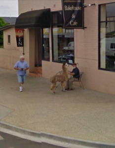 Топ 26 уникални Google Street View снимки - 9