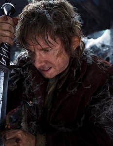 The Hobbit: The Desolation of Smaug - 5