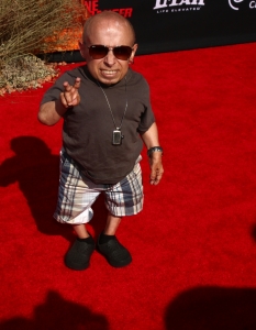 Verne Troyer