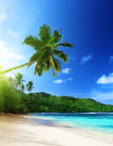 Раят на Земята - тропическите плажове  - 10
