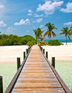 Раят на Земята - тропическите плажове  - 13