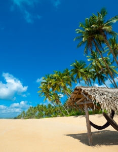 Раят на Земята - тропическите плажове  - 18
