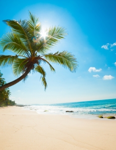 Раят на Земята - тропическите плажове  - 8
