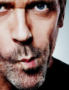 Gregory House - House M.D.Доктор Хаус е гадняр. Циничен, болезнено откровен, манипулативен и безкрайно щастлив от интелектуалното си превъзходство над околните. Това не е изцяло свързано с лошия му късмет, но и той има заслуги. 
Тормозен от постоянна болка, която води до зависимост от обезболяващи и нещастен в личния си живот, макар да не го признава, Хаус си има причини да злоупотребява с търпението на околните. Все пак ако имаше късмет, едва ли щеше да стигне до изводи като "Всички лъжат". 
Освен това много го бива да ядосва и наранява и малкото хора, които го обичат. Ролята е поверена на Хю Лори (Hugh Laurie). 