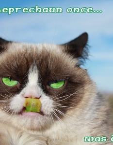 Топ 30 Grumpy Cat меме колажи - 24