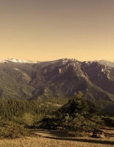 Sequoia National Park