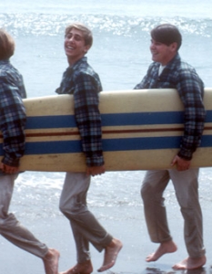 The Beach Boys - Surfin