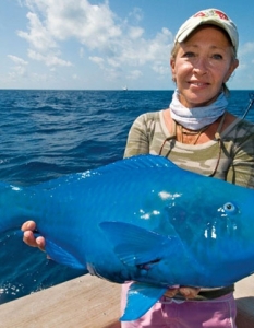 Blue Parrotfish