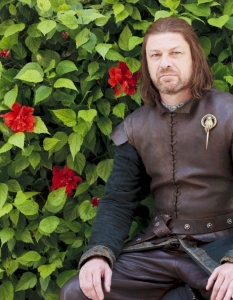 Ned Stark - Game of Thrones Строг, но почти винаги справедлив, Нед Старк е пример за всичките си шест деца. Дори незаконният му син се стреми единствено да не го разочарова. Освен това е любимец на телевизионната публика, което вероятно се дължи колкото на яркия персонаж, толкова и на изпълнението на Шон Бийн (Sean Bean). 