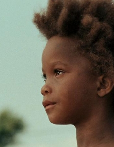 Beasts of the Southern Wild (Зверовете от дивия Юг) - 3