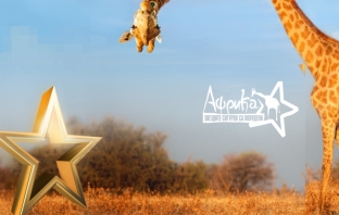 Африка: Звездите сигурно са полудели! - участниците
