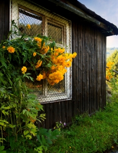 Селска къща в България