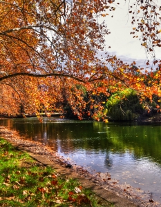 Hyde Park, Пърт, Западна Австралия