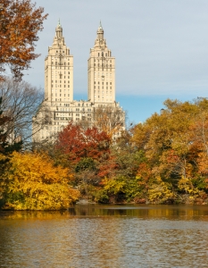 Central Park, Ню Йорк, САЩ