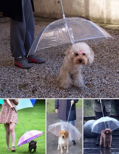 Чадър за кучета
