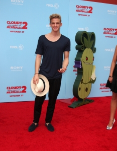 Cody Simpson