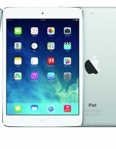 Apple iPad Air - 4