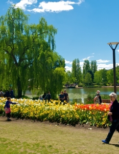 Фестивал на пролетта посред есен: Floriade Festival в Канбера, Австралия, октомври 2013 - 8