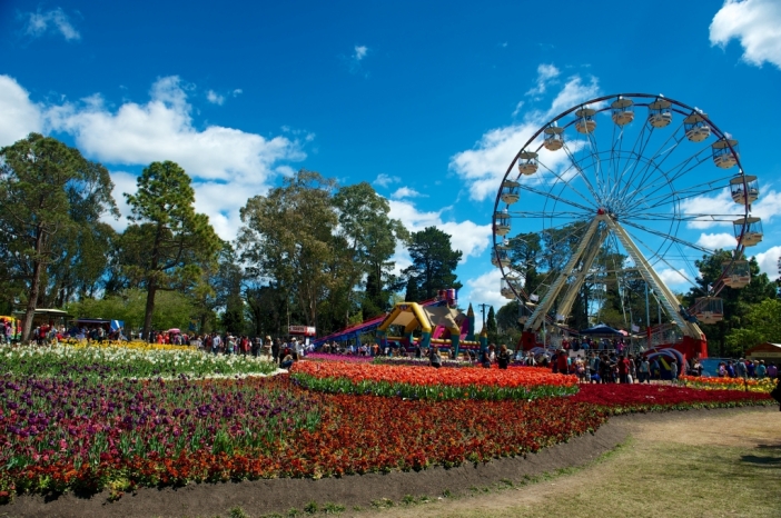 Фестивал на пролетта посред есен: Floriade Festival в Канбера, Австралия, октомври 2013