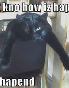 Cat fail: Комични снимки на котки, заклещени на абсурдни места - 12